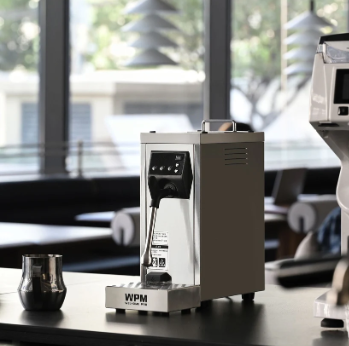 WPM Prosteam Auto Milk Steam V2