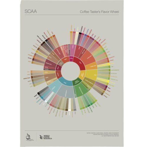 Lexicon Flavour Wheel - SCAA
