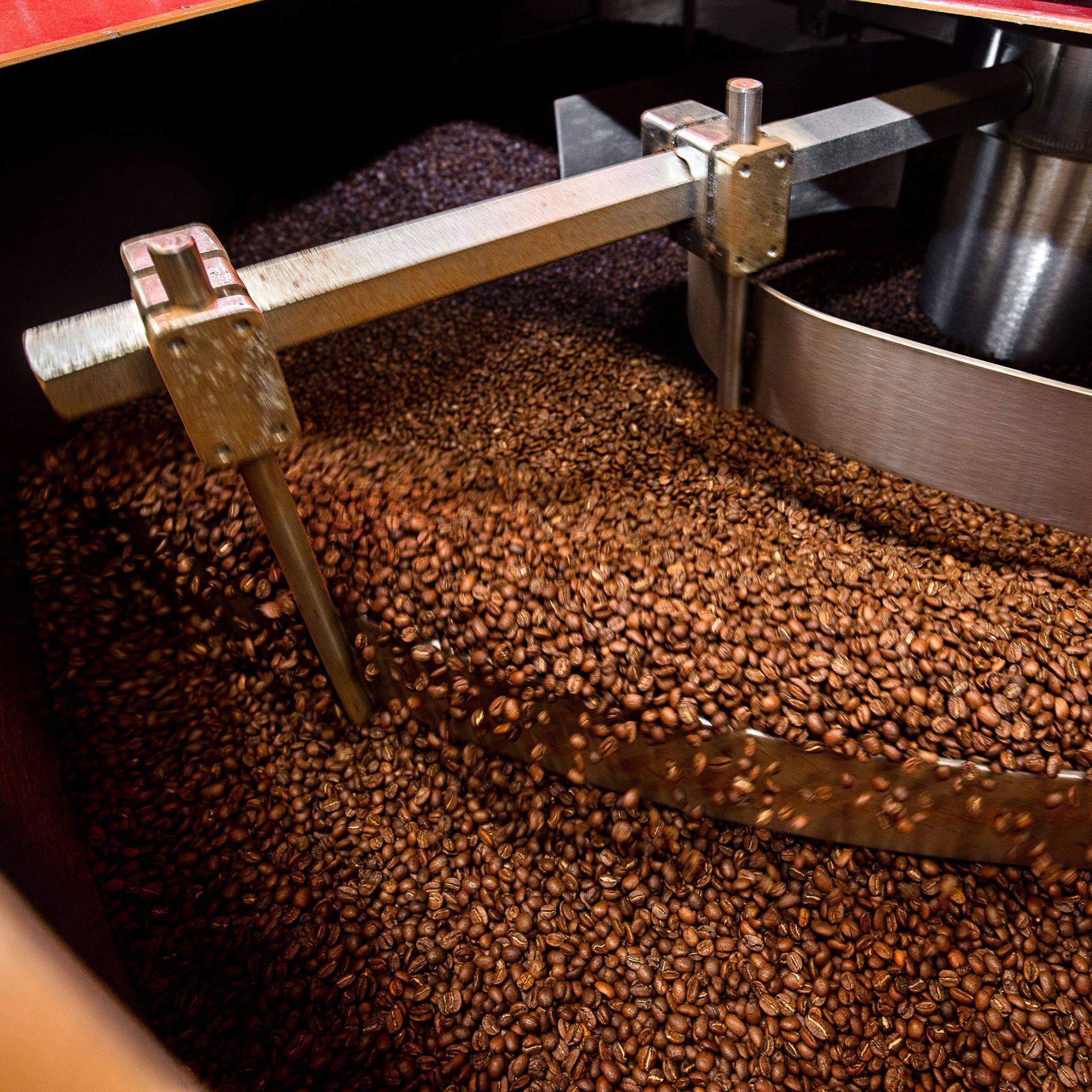 Paradox decaf coffee