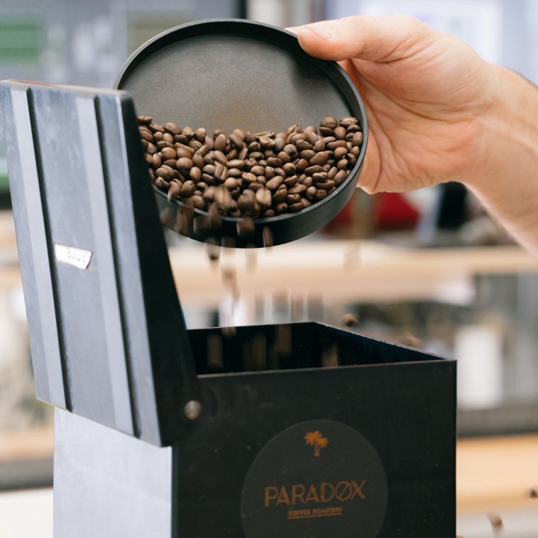 Paradox decaf coffee