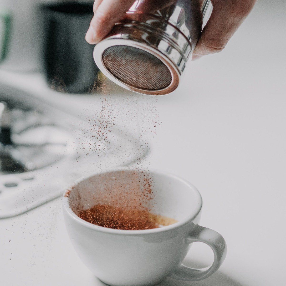 Rhino Fine Mesh Cocoa Shaker